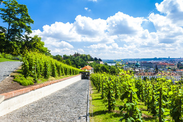 Ledeburska Garden, Prague, Czech Republic