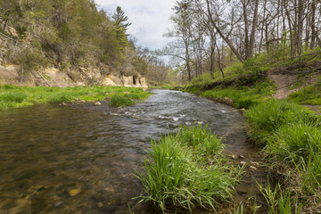 River In Spring