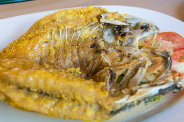 Fried snapper