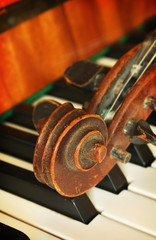 Beautiful violin