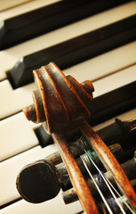 Beautiful violin