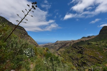 Gran Canaria - Parque Nacional de Tamadaba