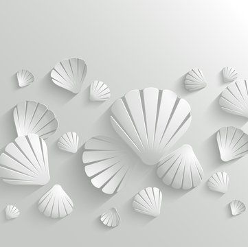 Sea shell background