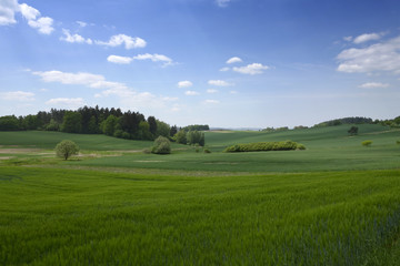 Fototapeta na wymiar Landscape in the south of Czech Republic