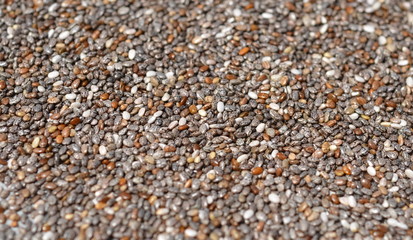 Chia-Samen