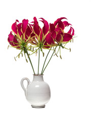 White vase with a bouquet of glory lilies flowers isolated on a white background