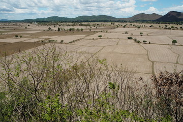 Fototapeta premium Field after harvest