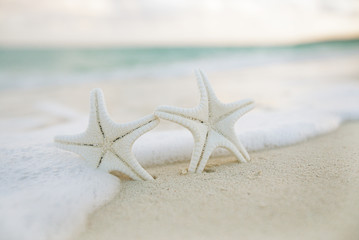 white starfish on white sand beach, with ocean sky and seascape
