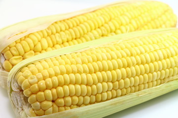 Corn 