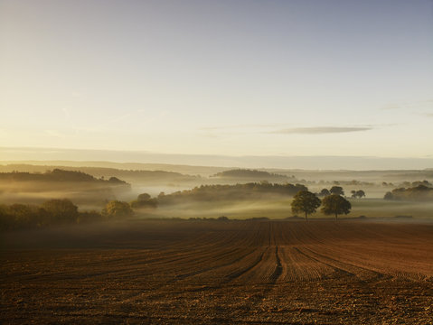 A ploughed field and view over surrounding undulating hills, at dawn with a mist rising from the land.
