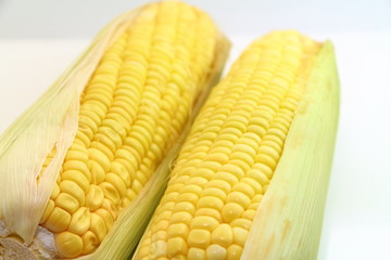 Thai sweet corn , corn seed 