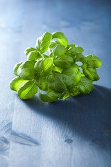 fresh basil leaves herb on blue wooden background