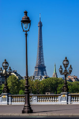 Fototapeta na wymiar Beaux-Arts style Alexandre III bridge (1896-1900) Paris, France.