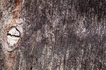 Abstract, Texture  wood pannels on wall background