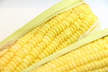 sweet corn from farm , raw corn