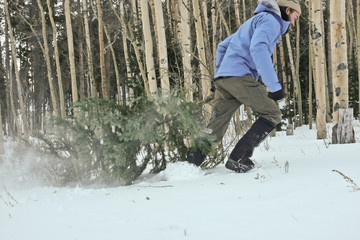 Side view of a Man dragging a Christmas tree through the snow, USA