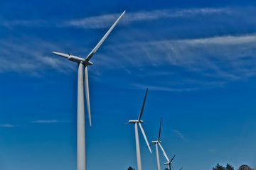 Fototapeta premium group of windmills for renewable electric energy production