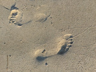 Fototapeta na wymiar foot tracks on sand