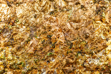 Gold grunge textures and background. Element of design