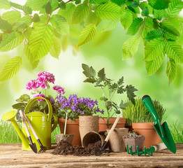 Outdoor gardening tools and herbs
