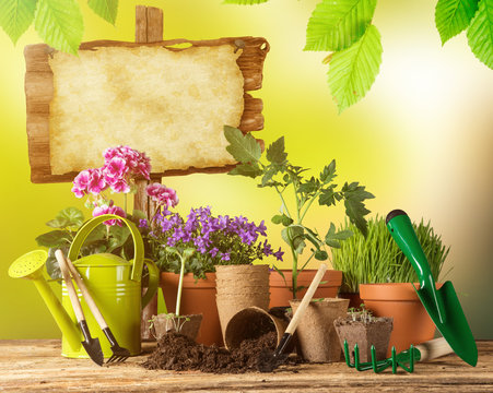 Outdoor gardening tools and herbs