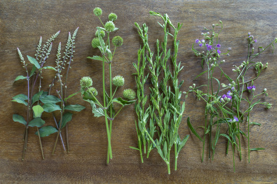 Bunches of various herbs arranged in row on wooden surface