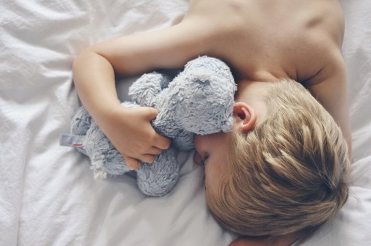 Elevated view of boy sleeping with stuffed animal