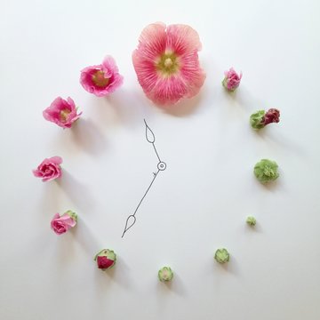 Conceptual mixed media clock made with assorted flower buds