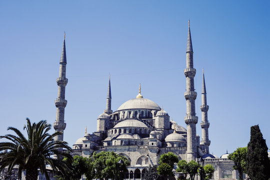 Turkey, Istanbul, Picture of Sultan Ahmed Blue Mosque