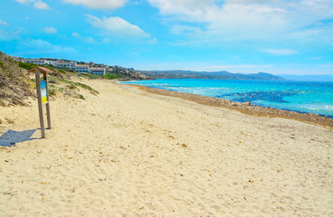 wooden sign in Capo Testa  shore