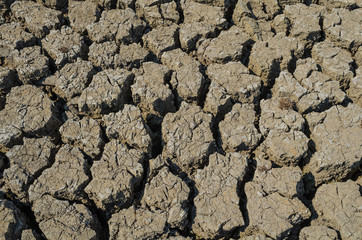 Drought parched soil