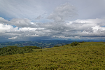 Fototapeta premium Meadowin the mountains. Mountain landscape.