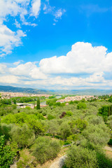 Fototapeta na wymiar fluffy clouds over Tuscan countryside