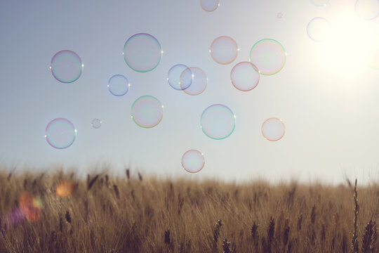 Soap bubbles floating mid air over a field, Senigallia, Ancona, Marche, Italy