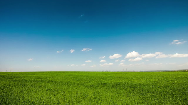 Blue clouds on a background of green field