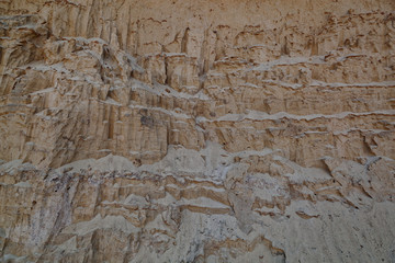 Sand hills as a backdrop.