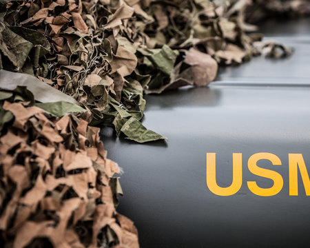 USA, Washington DC, Close-up of camouflage net on a military jeep