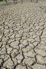 Drought parched soil