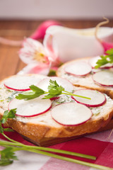 sandwich with radish