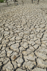 Drought parched soil