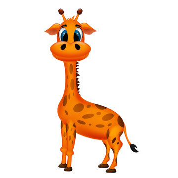 Giraffe with a cute smile