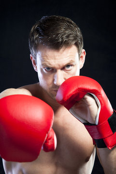 Portrait of a male boxer with his fists raised ready to fight