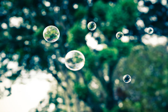 Close-up of bubbles against tree