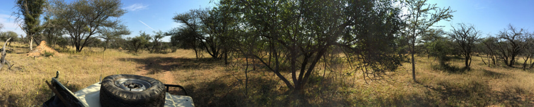South Africa, Panorama of savanna seen from jeep