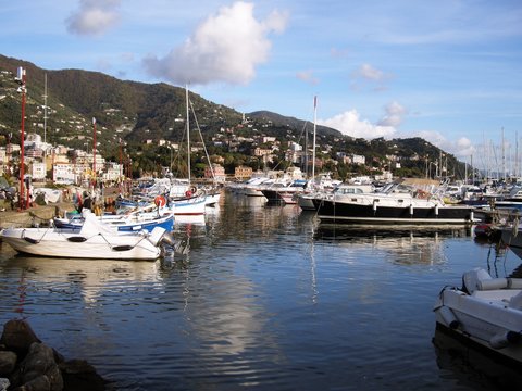 Italy, Geneva, Rapallo, View of marina