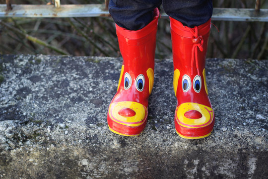 Wellington boots with happ yanimal  face design