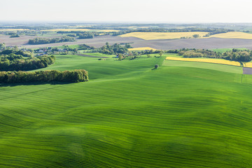 Fototapeta na wymiar aerial view of yellow harvest fields