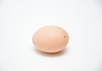 egg on a white background