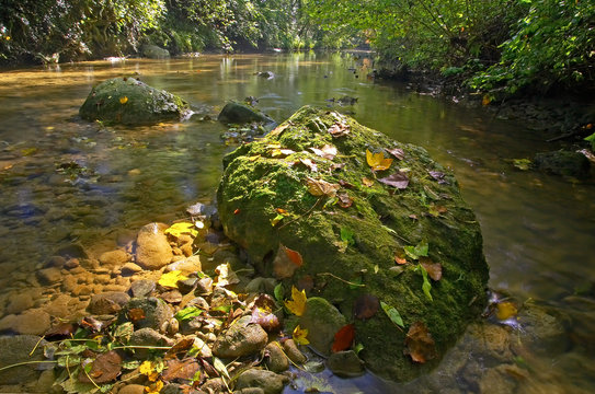 Herbststimmung am Fluss