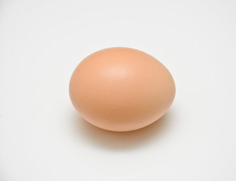 Chicken egg on white background